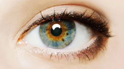 I Origins izle
