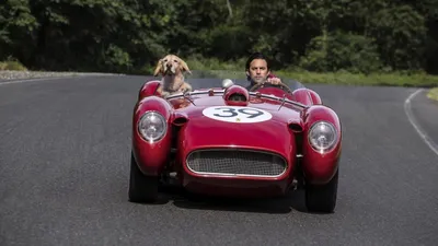 Enzo Yağmurda Yarış Sanatı izle